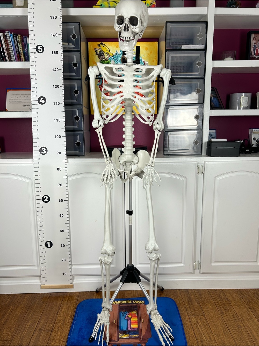 Life-Size White Halloween Skeleton decoration